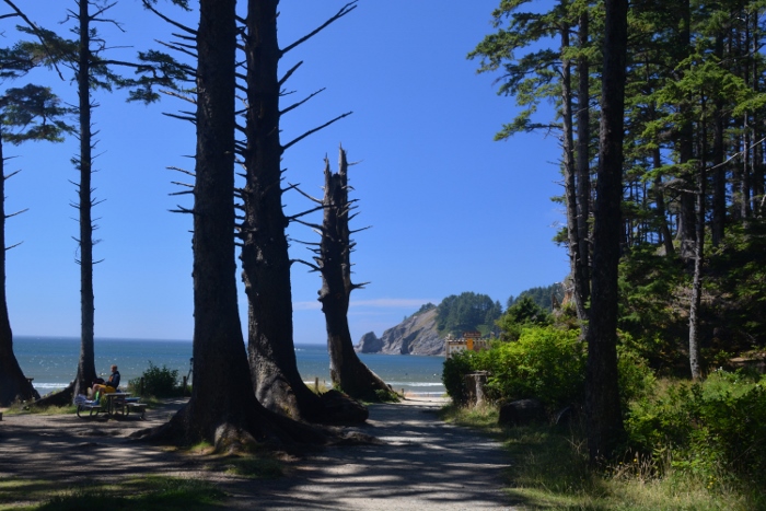Short Sand Beach in Oswald West State Park